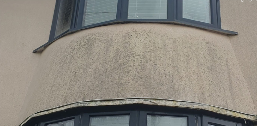 Render Soft Washing – before cleaning