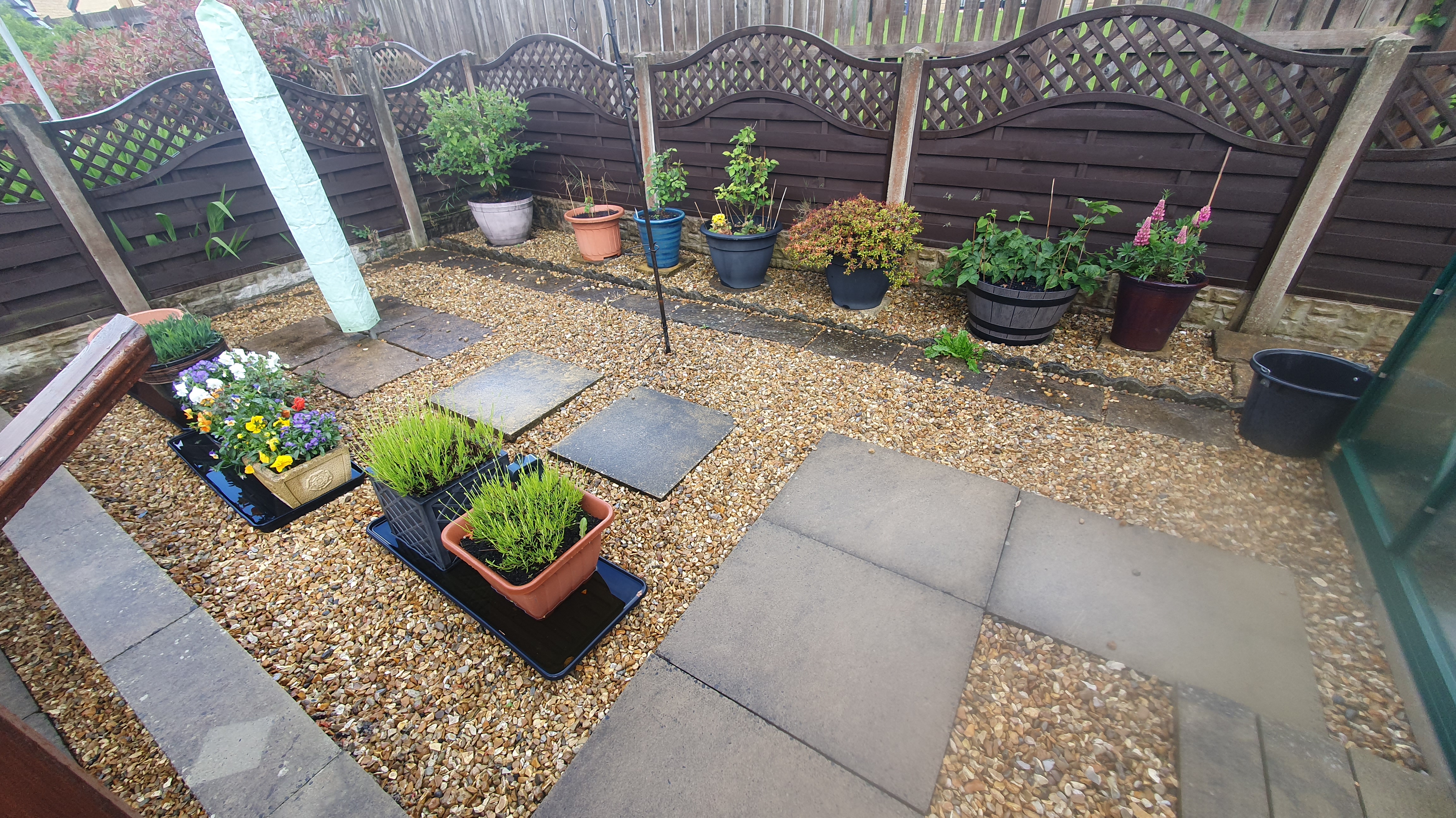 Pretty backgarden deep cleaned – before cleaning