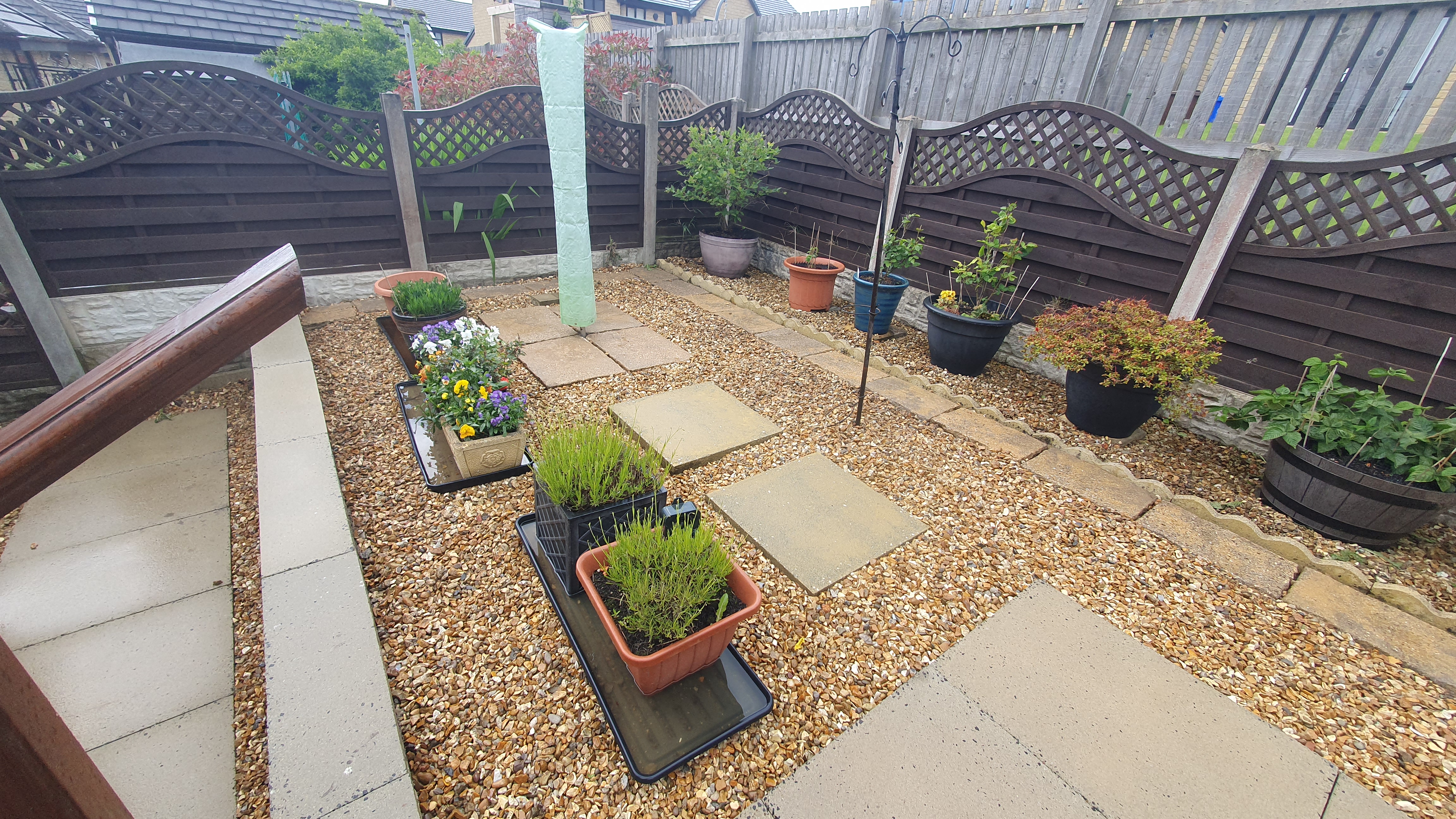 Pretty backgarden deep cleaned – after cleaning